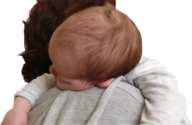 WebAcappella Fusion Templates